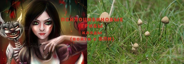 кокс Алексеевка