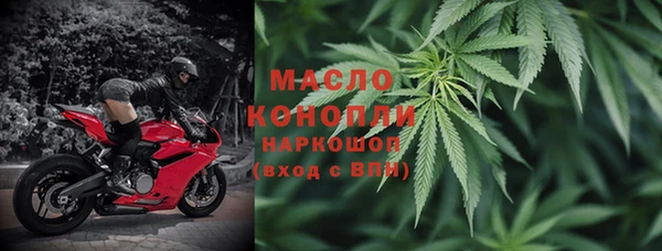 хмурый Алексин