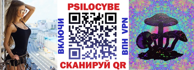 blacksprut сайт  Курганинск  Псилоцибиновые грибы мицелий 